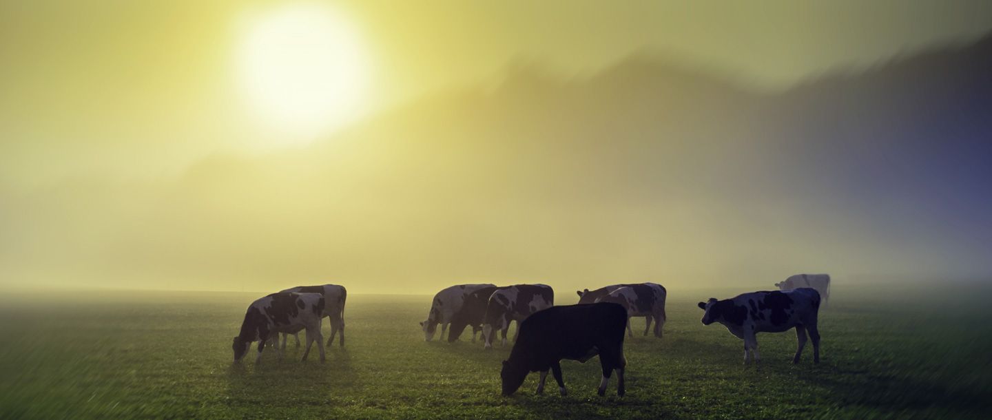 Carnets de route Emilien Brie de meaux Citation