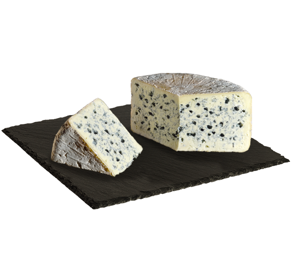 MATRICE FICHES SITE 600x533px 01