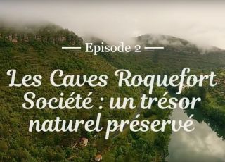 Caves roquefort societe un tresor naturel preserve