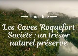 Caves roquefort societe un tresor naturel preserve