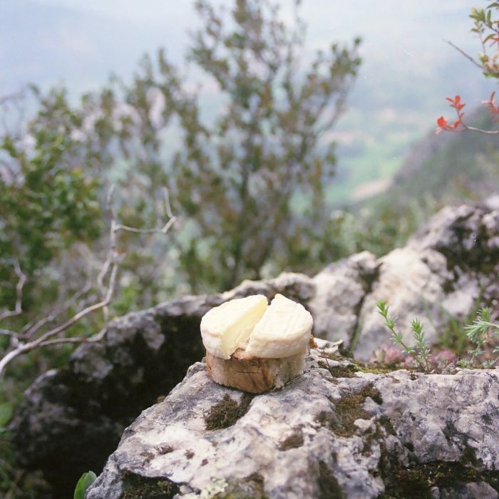 SM Vercors