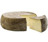 VIGNETTE SITE 240X240px FOND