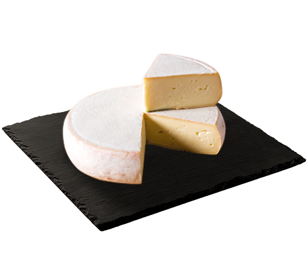 MATRICE FICHES SITE 600x533px 04