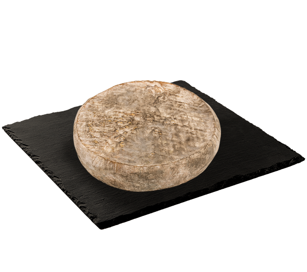 MATRICE FICHES SITE 600x533px 03