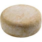 brebis fermier matocq