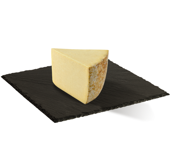 MATRICE FICHES SITE 600x533px 09