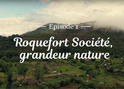 Roquefort Societe grandeur nature
