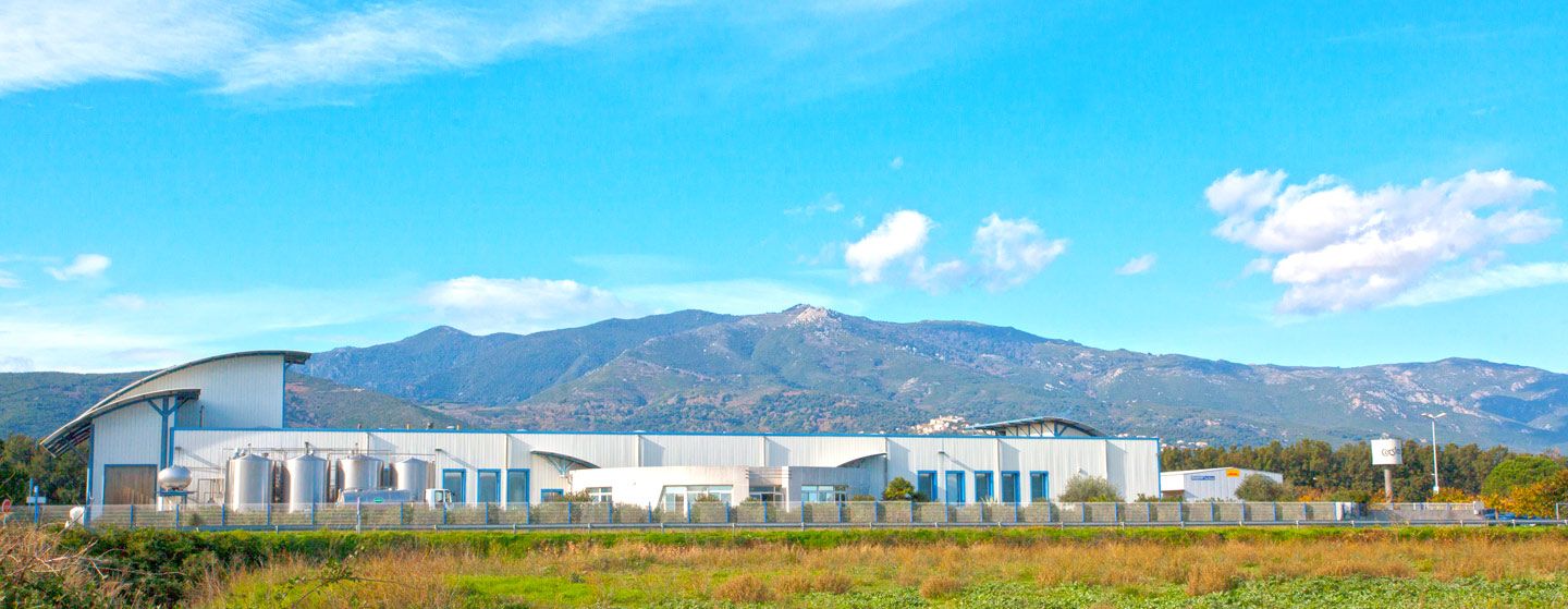 Emilien Fromages Societe Fromagere Corse