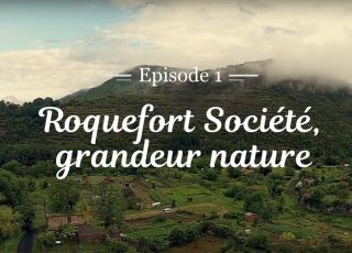 Roquefort Societe grandeur nature