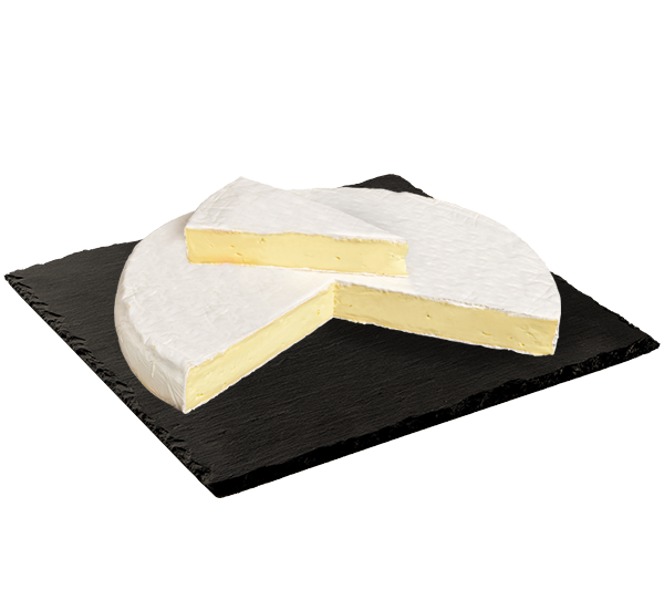 MATRICE FICHES SITE 600x533px 08