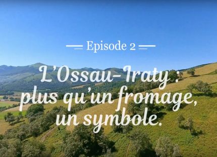 Ossau iraty plus qu un fromage un symbole