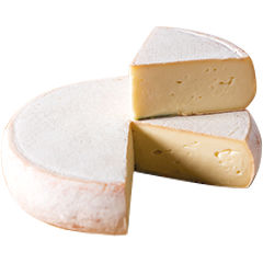 VIGNETTES SITE 240x240px 03