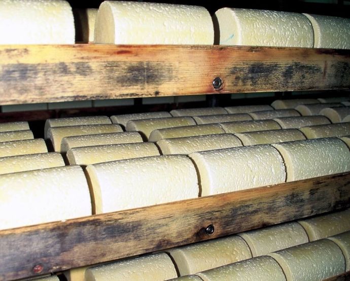 affinage-bois-epicea