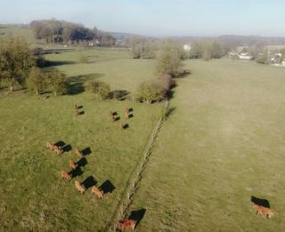 Miniature-Fromagerie-Andre-Collet