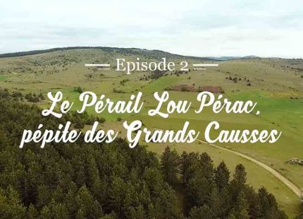 episode2