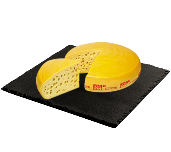 MATRICE FICHES SITE 600x533px 05