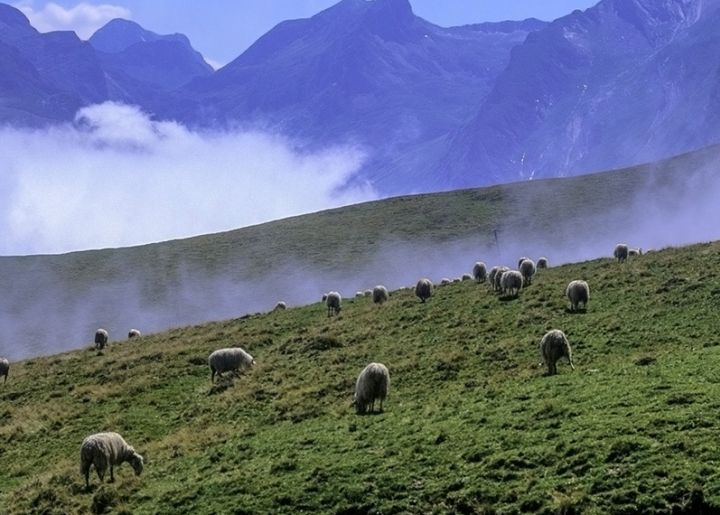 1440x570-bearnok