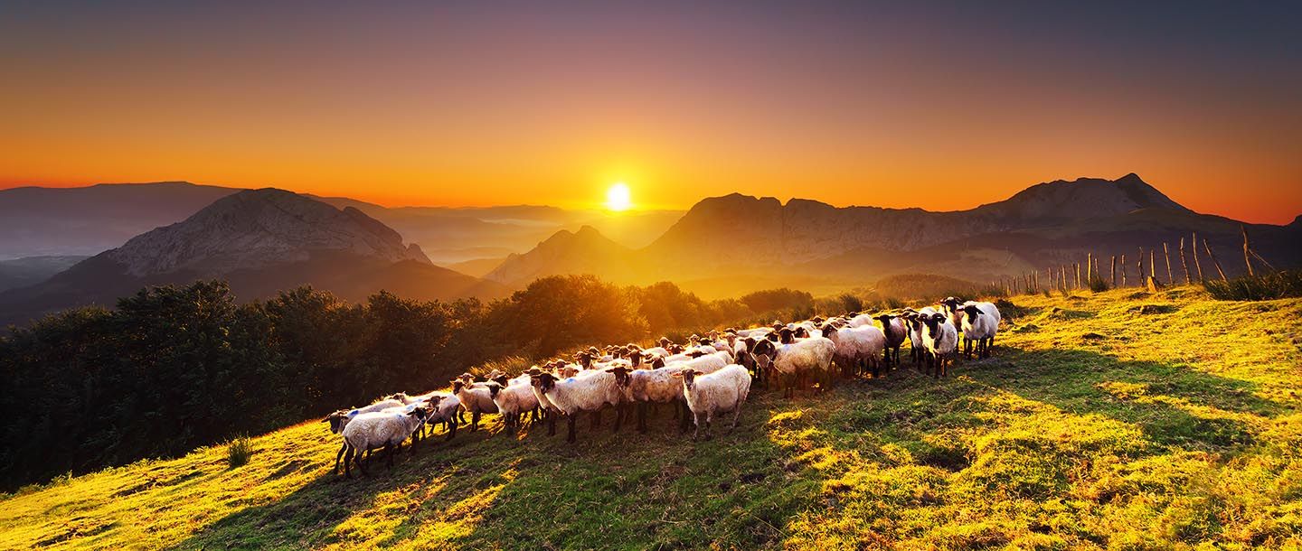 colline basque - carnets de route