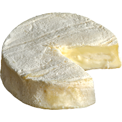 ROCAMADOUR VIGNETTE 240x240px