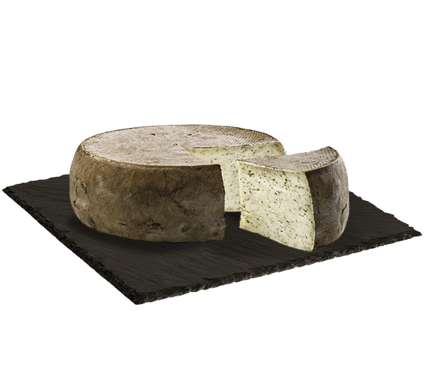 MATRICE FICHES SITE 600x533px 02