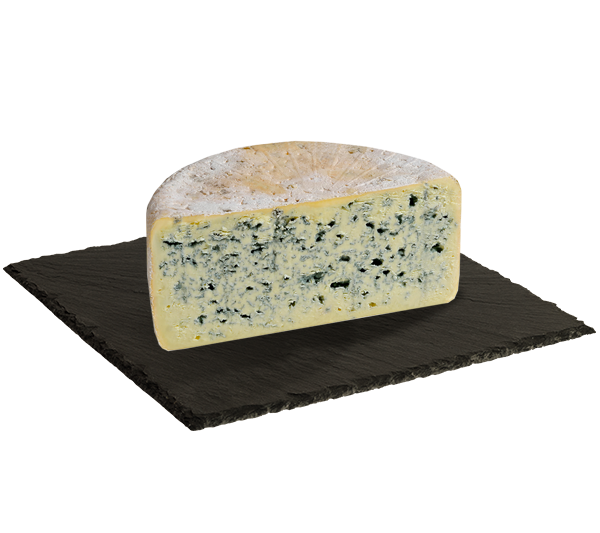 MATRICE FICHES SITE 600x533px 10