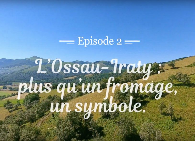 Ossau iraty plus qu un fromage un symbole