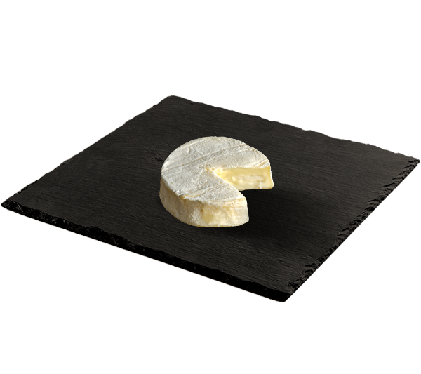 ROCAMADOUR FICHE 600x533px