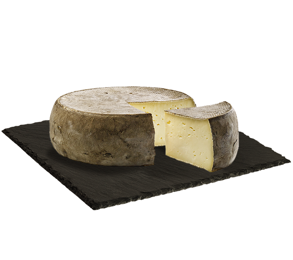 MATRICE FICHES SITE 600x533px 01