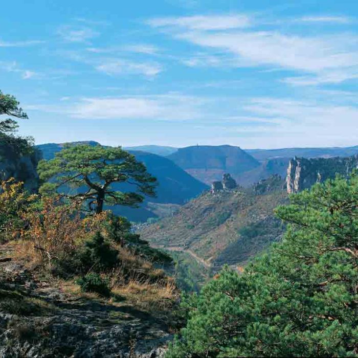 cave-de-peyrelade-gorges-tarn