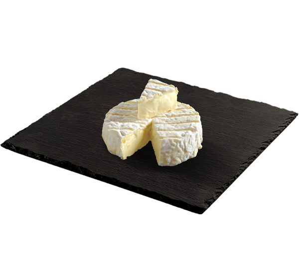 ST FELICIEN FICHE 600x533px