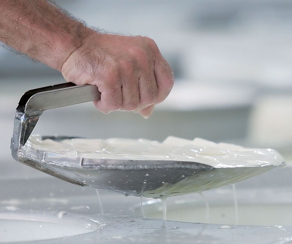 Carnets de route Emilien Brie de meaux Introduction