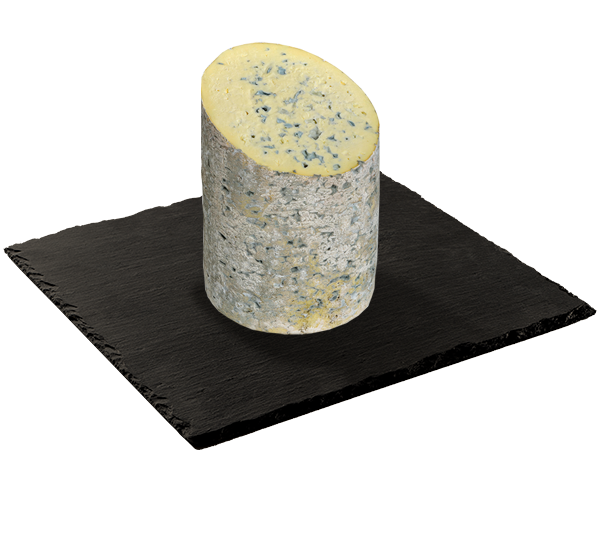 MATRICE FICHES SITE 600x533px 06