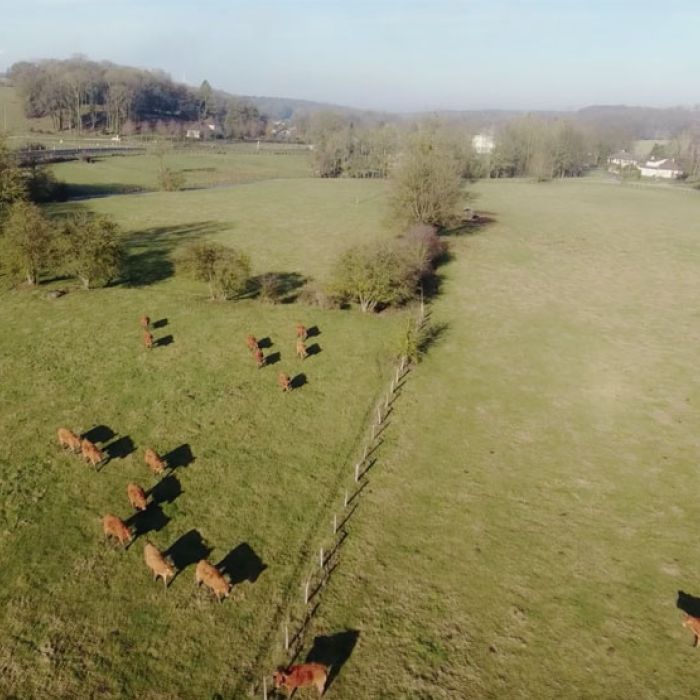 Miniature-Fromagerie-Andre-Collet