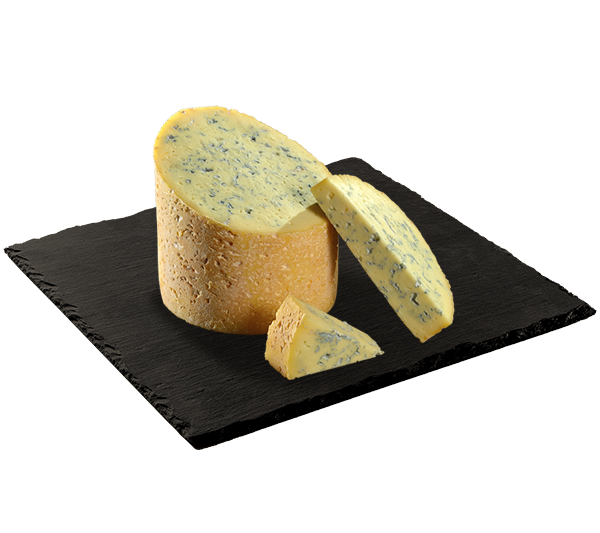 MATRICE FICHES SITE 600x533px 05