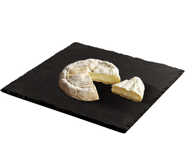 BANON FICHE 600x533px