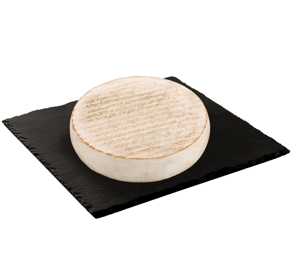 MATRICE FICHES SITE 600x533px 02