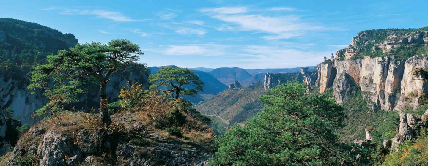 cave-de-peyrelade-gorges-tarn
