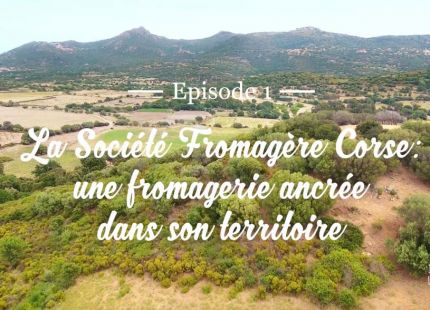 Emilien fromages video societe fromagere corse episode 1