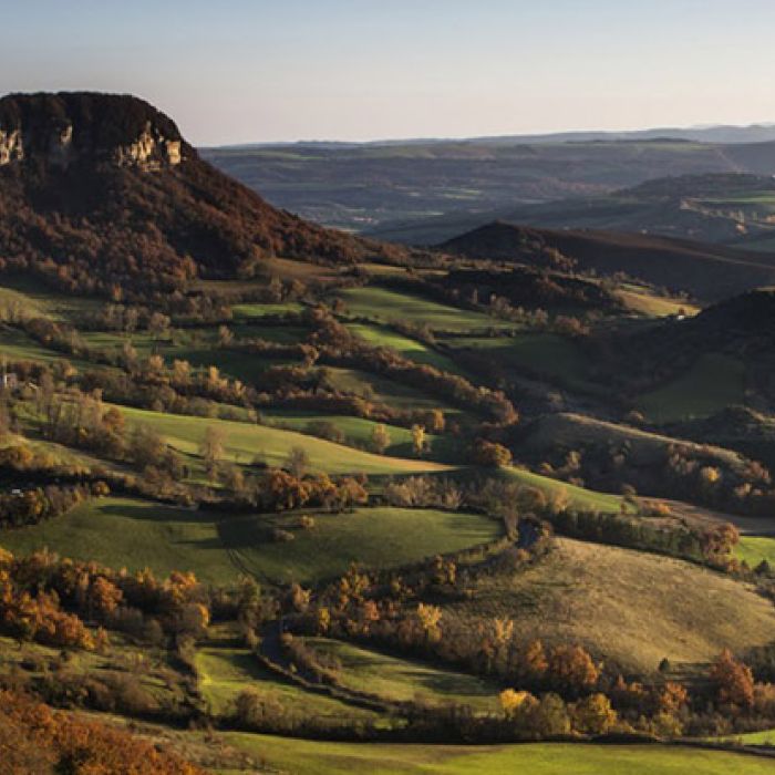 roquefort les fromages demilien