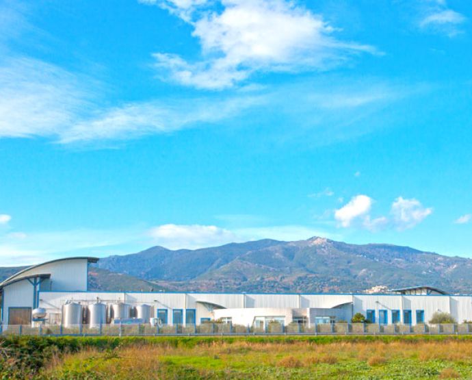 Emilien Fromages Societe Fromagere Corse miniature