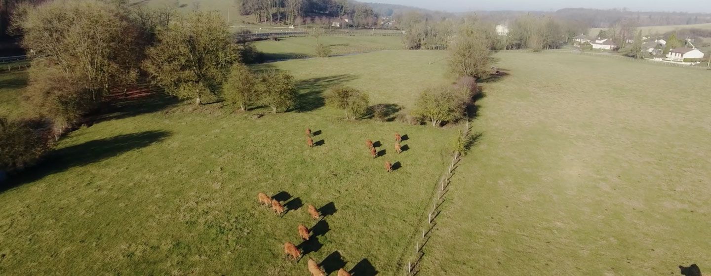 Fromagerie-Andre-Collet