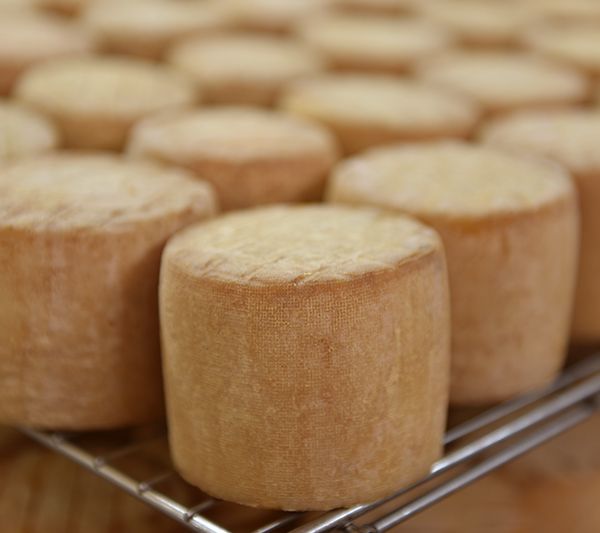 ptit matocq fromages demilien
