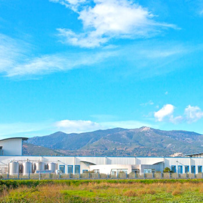 Emilien Fromages Societe Fromagere Corse miniature