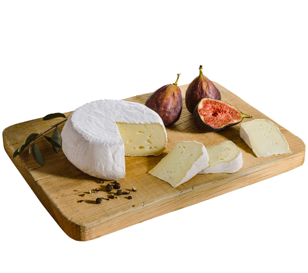 Emilien Fromages Corsica