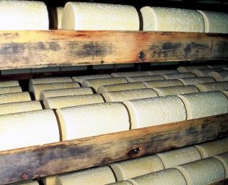 affinage-bois-epicea