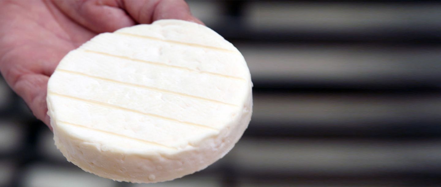 Causses fromage perail