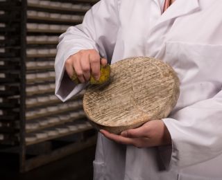 Frottage-Saint-Nectaire