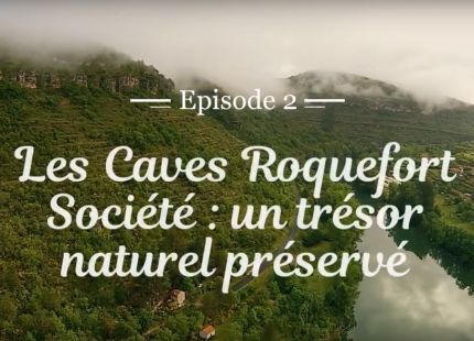 Caves roquefort societe un tresor naturel preserve