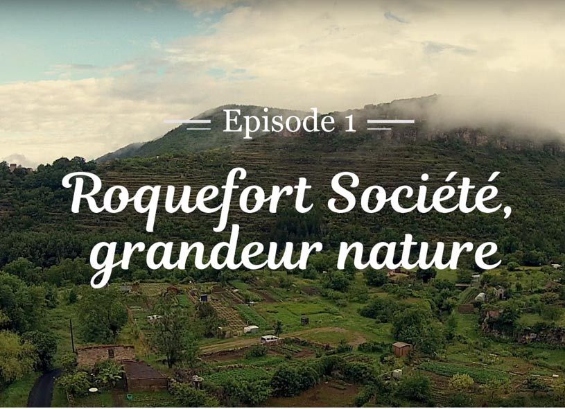 Roquefort Societe grandeur nature