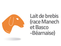 lait de brebis race manech et basco bearnaise
